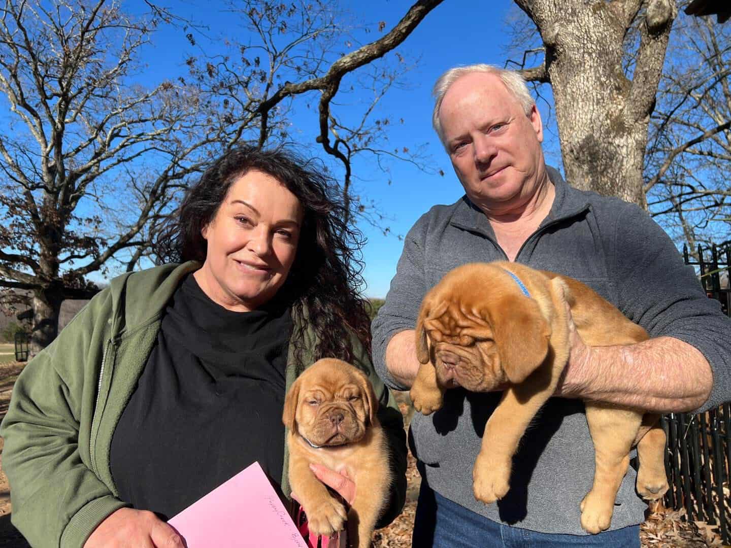 The right match. Happier puppies.